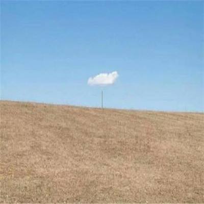 推店app足球彩票截图